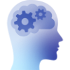 Función cerebral