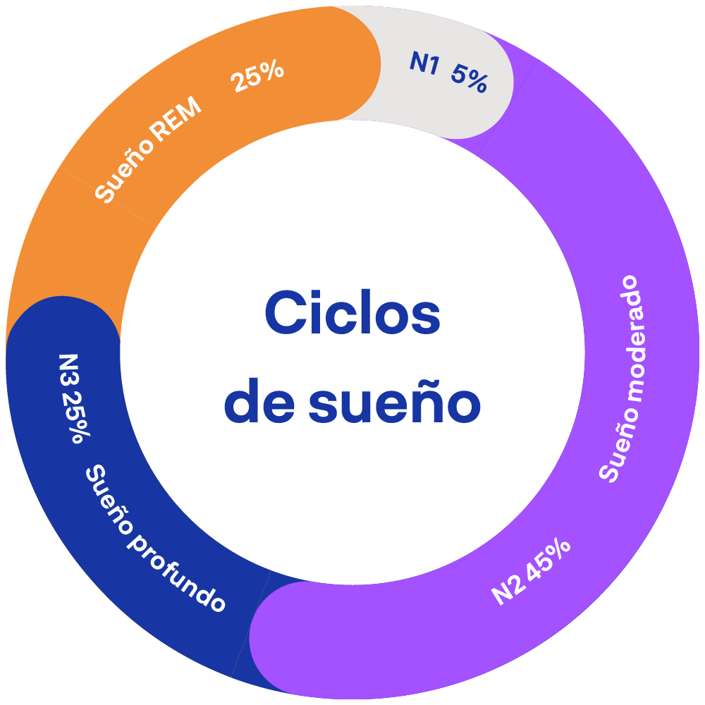 Ciclos de sueño: N1 5 %, sueño moderado (N2) 45 %, sueño profundo (N3) 25 % y sueño REM 25 %
